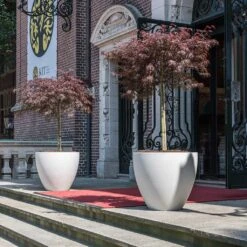 Jesslyn Refined Planter - Natural White -Indoor Plants Store Jesslyn Refined Planter Natural White Doorway Planters