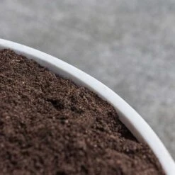 Jesslyn Refined Planter - Natural White -Indoor Plants Store Jesslyn Refined Planter Natural White Rim