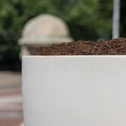 Jesslyn Refined Planter - Natural White -Indoor Plants Store Jesslyn Refined Planter Natural White Textures