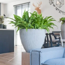 Jesslyn Plant Pot - Ridged Cement -Indoor Plants Store JesslynPlantPot RidgedCement 2