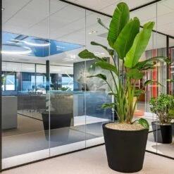 Jumbo Bucket Natural Planter - Black -Indoor Plants Store Jumbo Bucket Natural Planter Black 98x85cm Lifestyle 2