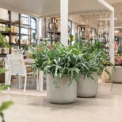 Jumbo Charlie Planter - Stone Washed -Indoor Plants Store Jumbo Charlie Planter Stone Washed Indoors