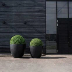 Jumbo Jesslyn Natural Planter - Black -Indoor Plants Store Jumbo Jesslyn Natural Planter Black Entrance Planters