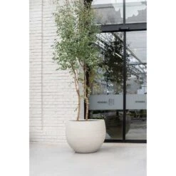 Jumbo Orb Planter - Stone Washed -Indoor Plants Store Jumbo Orb Planter Stone Washed Garden Tree