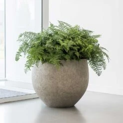 Jumbo Orb Planter - Stone Washed -Indoor Plants Store Jumbo Orb Planter Stone Washed Office Plants