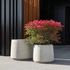 Jumbo Patt Planter - Stone Washed -Indoor Plants Store Jumbo Patt Planter Stone Washed Garden Plants