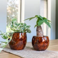 Kae Plant Pot - Cayenne -Indoor Plants Store Kae Plant Pot Cayenne