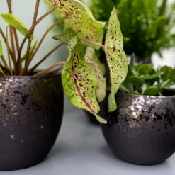 Kae Plant Pot - Mocha -Indoor Plants Store Kae Plant Pot Mocha Textures