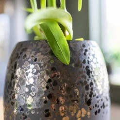 Kae Plant Vase - Mocha -Indoor Plants Store Kae Plant Vase Mocha Close Up