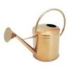 Kensington Indoor Traditional Watering Can 2L - Copper -Indoor Plants Store Kensington Indoor Traditional Watering Can 2L Copper 2