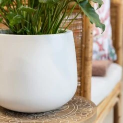 Kevan Essentials Plant Pot - Matt White -Indoor Plants Store Kevan Plant Pot Matt White Philodendron Plant
