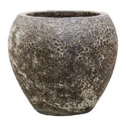 Lava Balloon Relic Planter - Black -Indoor Plants Store Lava Balloon Relic Planter Black 54x50cm