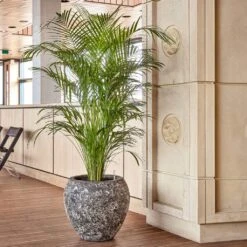 Lava Balloon Relic Planter - Rust -Indoor Plants Store Lava Balloon Relic Rust Metal