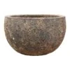Lava Bowl Relic Planter - Rust -Indoor Plants Store Lava Bowl Relic Planter Rust