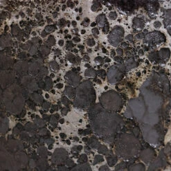 Lava Cube Relic Planter - Black 17 Lava Cube Relic Planter - Black -Indoor Plants Store Lava Couple Straight Relic Planter Black 2 8eeeabc8 e248 48ec beba c1c792ded75f