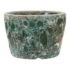 Lava Couple Straight Relic Planter - Jade -Indoor Plants Store Lava Couple Straight Relic Planter Jade