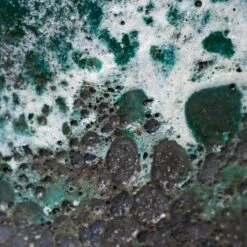 Lava Couple Relic Planter - Jade 22 Lava Couple Relic Planter - Jade -Indoor Plants Store Lava Couple Straight Relic Planter Jade 19x13cm Colour Swatch 1