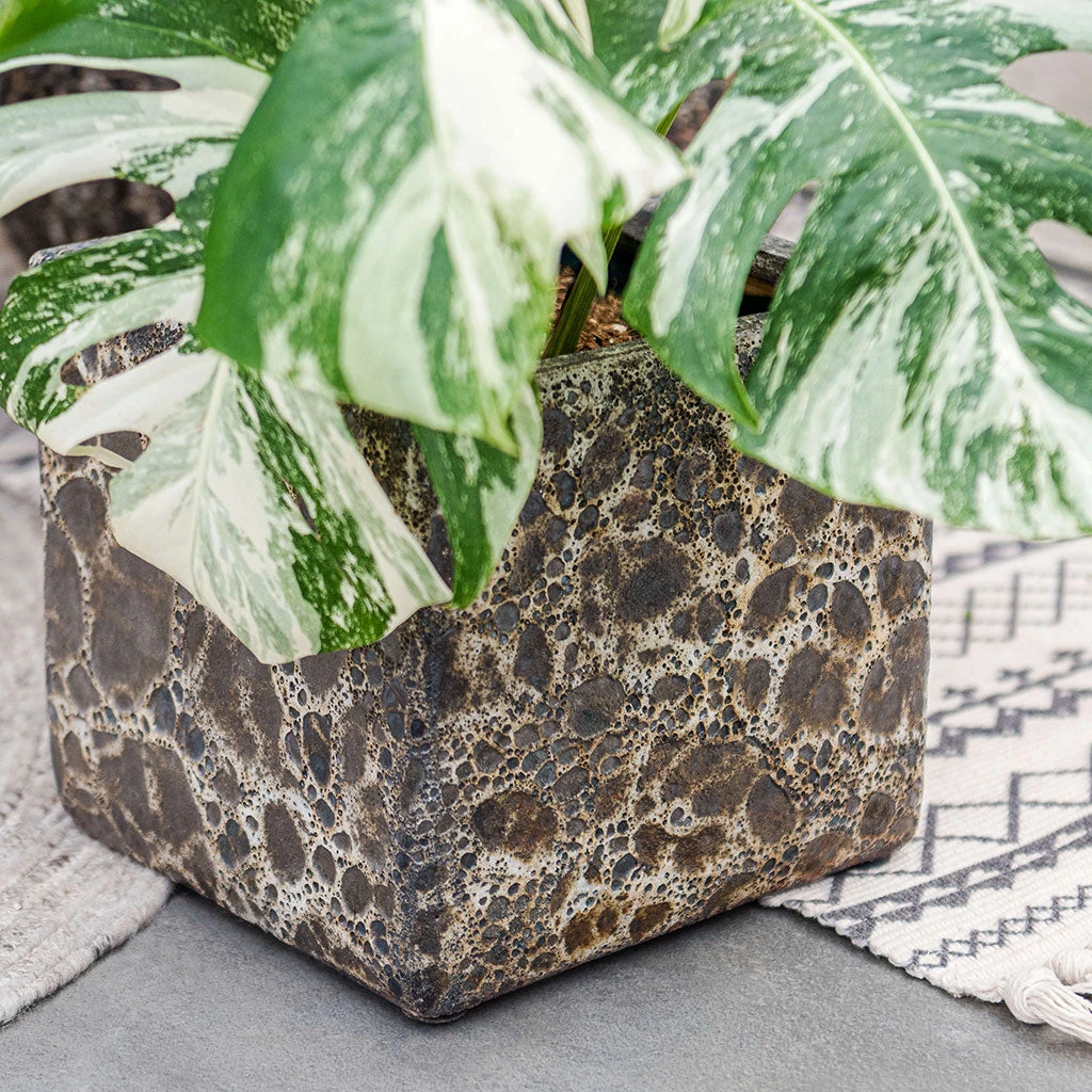 Lava Cube Relic Planter - Black 5 Lava Cube Relic Planter - Black - Image 3