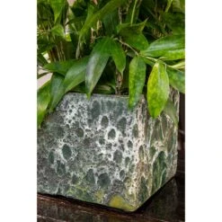 Lava Cube Relic Planter - Jade 22 Lava Cube Relic Planter - Jade -Indoor Plants Store Lava Cube Relic Planter Jade Close