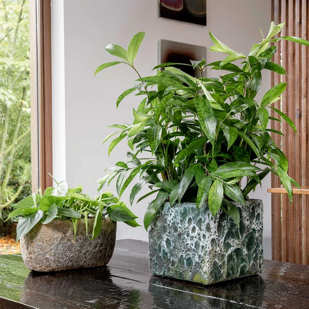 Lava Cube Relic Planter - Jade 11 Lava Cube Relic Planter - Jade - Image 9