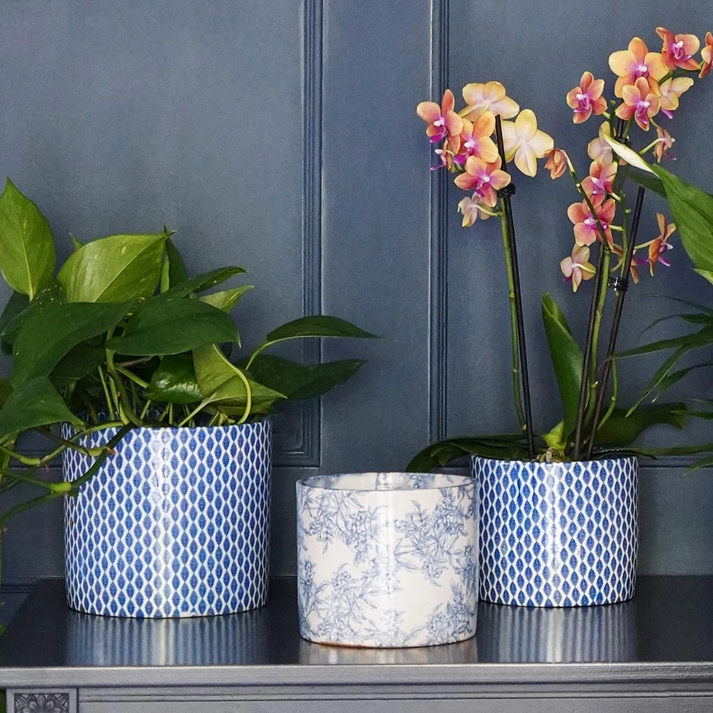 Lazzaro Plant Pot - Navy Garland 4 Lazzaro Plant Pot - Navy Garland - Image 2