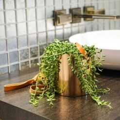 Floro Hanging Plant Pot - Copper -Indoor Plants Store Lifestyle Floro Hanging Plant Pot 13x13cm 2