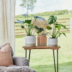 Puro Ripple Plant Pot - White -Indoor Plants Store Lifestyle Puro Ripple Plant Pot 21x19cm 78129612 f541 46ee b1c8 f828cfeb6eb8