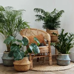 Seagrass Tribal Basket - Teal Lined 15 Seagrass Tribal Basket - Teal Lined -Indoor Plants Store Lifestyle Seagrass Tribal Basket Teal Lined 35x30cm