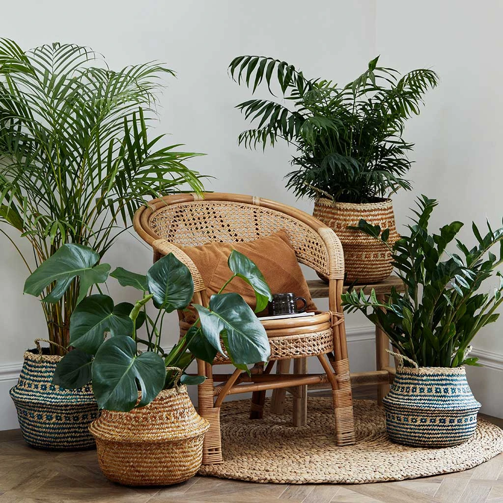 Seagrass Tribal Basket - Teal Lined 8 Seagrass Tribal Basket - Teal Lined - Image 6