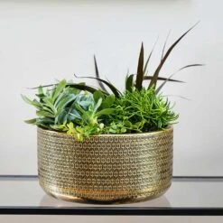 Solis Embossed Plant Bowl - Gold 8 Solis Embossed Plant Bowl - Gold -Indoor Plants Store Lifestyle Solis Embossed Plant Bowl Gold 30x15cm
