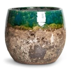 Lindy Plant Pot - Black Green -Indoor Plants Store Lindy Plant Pot Black Green 16x13cm