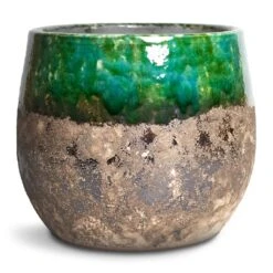 Lindy Plant Pot - Black Green -Indoor Plants Store Lindy Plant Pot Black Green 23x20cm