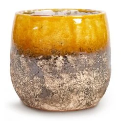 Lindy Plant Pot - Ochre -Indoor Plants Store Lindy Plant Pot Ochre 16x13cm