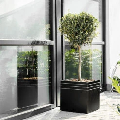 Line-Up Cube Planter - Matt Black 10 Line-Up Cube Planter - Matt Black -Indoor Plants Store Line Up Cube Planter Matt Black Lifestyle 2