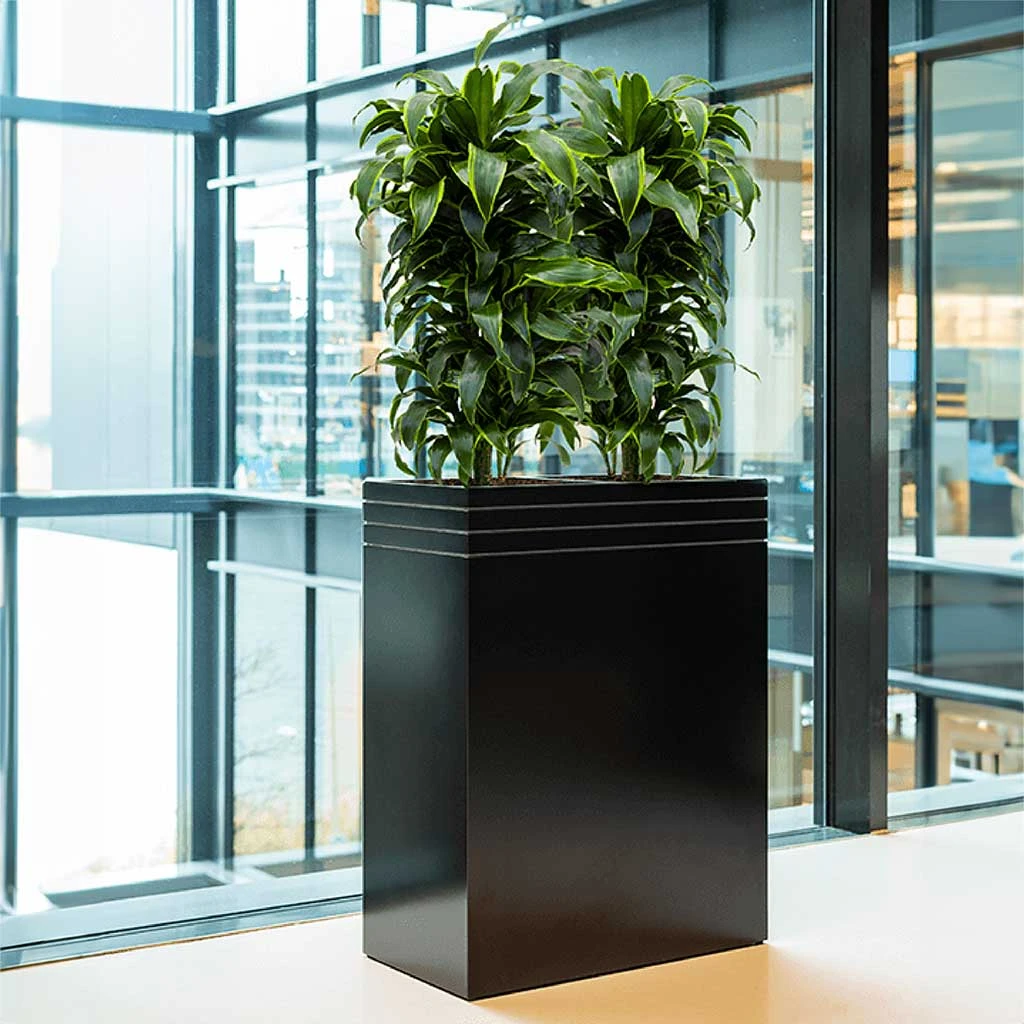 Line-Up Rectangle Planter - Matt Black 4 Line-Up Rectangle Planter - Matt Black - Image 2