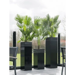 Line-Up Tall Square Planter - Matt Black 10 Line-Up Tall Square Planter - Matt Black -Indoor Plants Store Line Up Tall Square Planter Matt Black Lifestyle