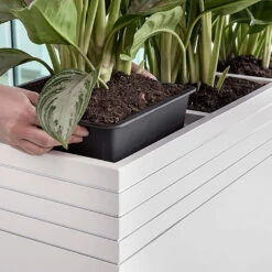 Line-Up Rectangle Planter - Matt White -Indoor Plants Store Line Up Tall Square Planter Matt White Lifestyle 2c471cac 7423 41f5 98b3 d25bd28306b4