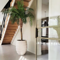 Bordo Tall Balloon Planter - Sand 8 Bordo Tall Balloon Planter - Sand -Indoor Plants Store Luca Lifestyle Bordo Tall Balloon sand 1