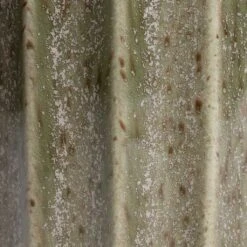 Lugano Scalloped Plant Pot - Green -Indoor Plants Store Lugano Scalloped Plant Pot Green d56c6e12 8055 4673 b05e c47f4638e91c