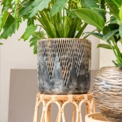 Luxe Lite Comet Cylinder Planter - Bronze -Indoor Plants Store Luxe Lite Comet Cylinder Planter Bronze Small Houseplant