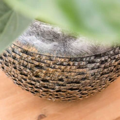 Luxe Lite Layer Globe Planter - Bronze -Indoor Plants Store Luxe Lite Layer Globe Planter 1