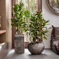 Luxe Lite Layer Globe Planter - Bronze -Indoor Plants Store Luxe Lite Layer Globe Planter Bronze Lifestyle
