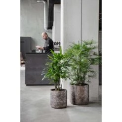 Luxe Lite Wrinkle Cylinder Planter - Bronze -Indoor Plants Store Luxe Lite Wrinkle Cylinder Planter Bronze Lifestyle