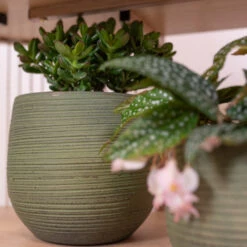 Lydia Plant Pot - Shiny Green 35 Lydia Plant Pot - Shiny Green -Indoor Plants Store LydiaPlantPot ShinyGreen 3