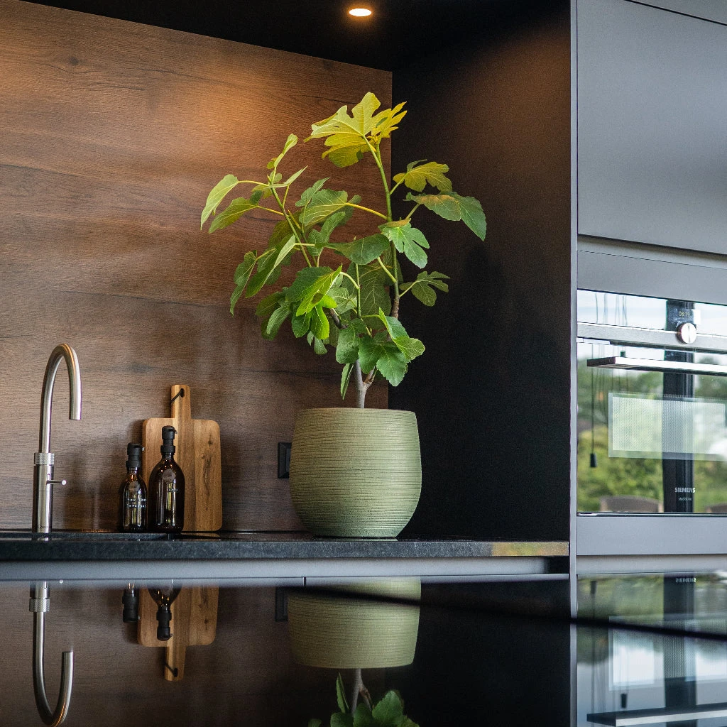 Lydia Plant Pot - Shiny Green 21 Lydia Plant Pot - Shiny Green - Image 19