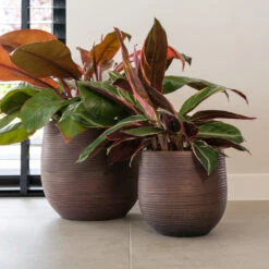 Lydia Plant Pot - Shiny Purple -Indoor Plants Store LydiaPlantPotShiny Purple 3