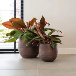 Lydia Plant Pot - Shiny Purple -Indoor Plants Store LydiaPlantPotShiny Purple 4