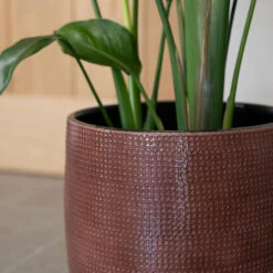 Lykke Plant Pot - Chestnut Blush -Indoor Plants Store Lykke Chestnut 2