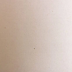 Eav Refined Plant Bowl - Natural White 16 Eav Refined Plant Bowl - Natural White -Indoor Plants Store Max Refined Planter Natural White 1 8d90adf0 db69 4575 a5e9 f6bed88f28ca