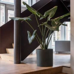 Max Refined Planter - Pine Green -Indoor Plants Store Max Refined Planter Pine Green 1